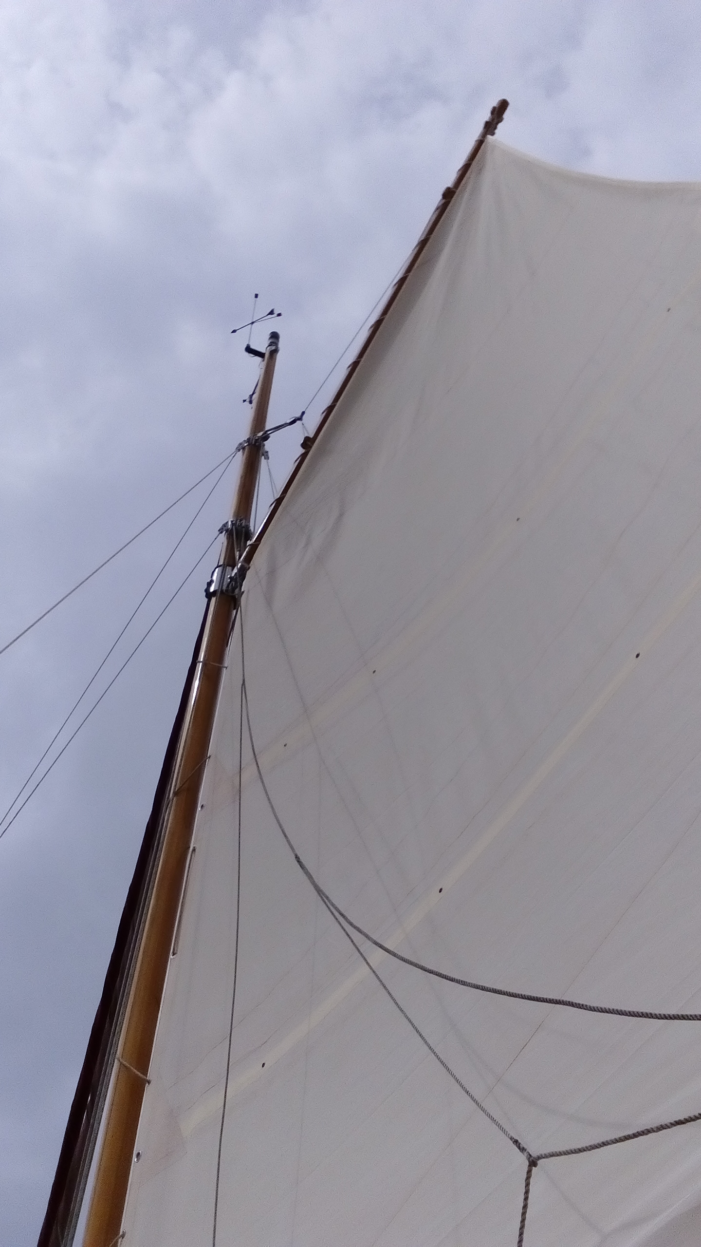 Main Sail